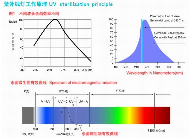 紫外各波長的應(yīng)用13048834002