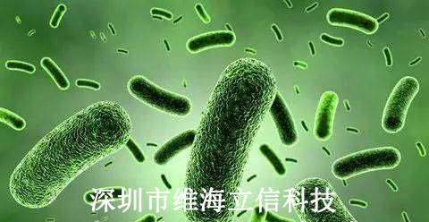 化合物降解應(yīng)用